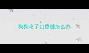 狗狗吃了口香糖怎么办