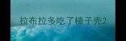 拉布拉多吃了榛子壳