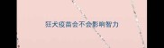 狂犬疫苗会不会影响智力