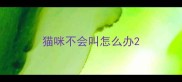 猫咪不会叫怎么办