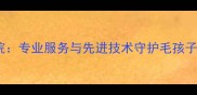 上海艾贝尔宠物医院专业服务与先进技术守护毛孩子健康最新排名