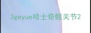 3geyue哈士奇髋关节