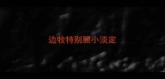 边牧特别胆小淡定