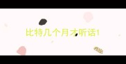 比特几个月才听话