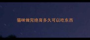 猫咪做完绝育多久可以吃东西