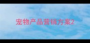 宠物产品营销方案