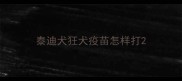 泰迪犬狂犬疫苗怎样打