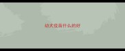 幼犬疫苗什么的好