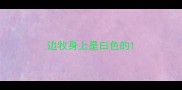 边牧身上是白色的