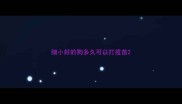 细小好的狗多久可以打疫苗