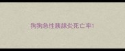 狗狗急性胰腺炎死亡率