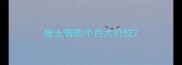 哈士奇四个月大价位