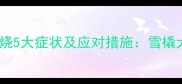 哈士奇感冒发烧5大症状及应对措施雪橇犬家长必看