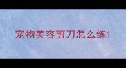 宠物美容剪刀怎么练