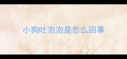 小狗吐泡泡是怎么回事