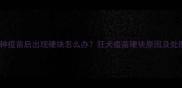 狗狗接种疫苗后出现硬块怎么办狂犬疫苗硬块原因及处理指南