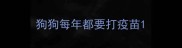 狗狗每年都要打疫苗