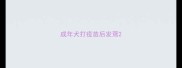成年犬打疫苗后发蔫