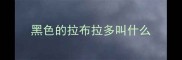 黑色的拉布拉多叫什么