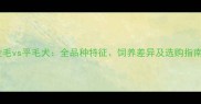 金毛vs平毛犬全品种特征饲养差异及选购指南