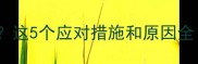 狗狗接种疫苗后干呕这5个应对措施和原因全附专业兽医建议