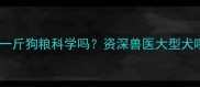 哈士奇每天吃一斤狗粮科学吗资深兽医大型犬喂养黄金法则
