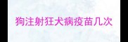 狗注射狂犬病疫苗几次