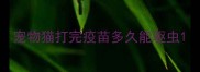 宠物猫打完疫苗多久能驱虫