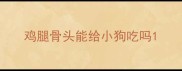 鸡腿骨头能给小狗吃吗