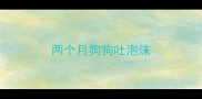 两个月狗狗吐泡沫