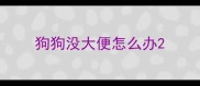 狗狗没大便怎么办