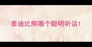 泰迪比熊哪个聪明听话