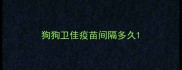 狗狗卫佳疫苗间隔多久