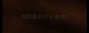 狗狗喜欢什么食物