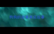 狗狗的故事真实故事