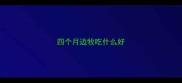四个月边牧吃什么好