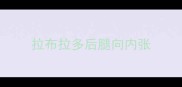拉布拉多后腿向内张