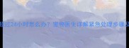 小狗绝食超过24小时怎么办宠物医生详解紧急处理步骤及健康危害