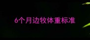 6个月边牧体重标准