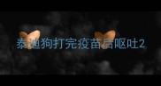 泰迪狗打完疫苗后呕吐