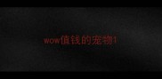 wow值钱的宠物