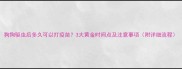 狗狗驱虫后多久可以打疫苗3大黄金时间点及注意事项附详细流程