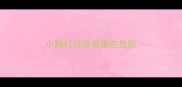 小狗打疫苗有哪些危险