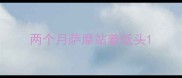 两个月萨摩站着低头
