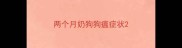 两个月奶狗狗瘟症状