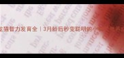 龙猫智力发育全3月龄后秒变聪明的小机灵鬼养成记