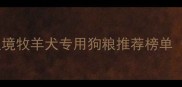 边牧家长必看边境牧羊犬专用狗粮推荐榜单附科学选购指南