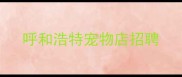 呼和浩特宠物店招聘