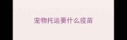 宠物托运要什么疫苗