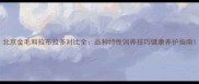 北京金毛和拉布拉多对比全品种特性饲养技巧健康养护指南